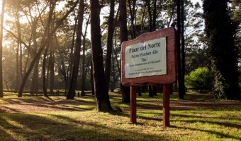UNA CONQUISTA HIST�RICA PARA VILLA GESELL: EL SENADO APROB� LA DONACI�N DE LOS PINARES A LA CIUDAD